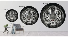 Fototapeta vliesová Tiger čb 95 cm