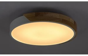 Rabalux 3527 - LED Stropné svietidlo MAPLE LED/24W/230V biela