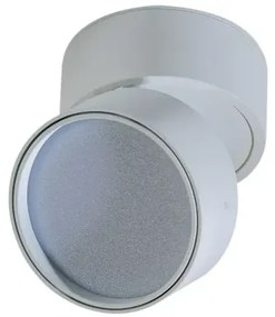 LED bodové svetlo Mona 12W 4000K biele
