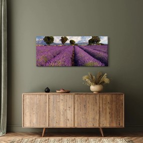 Obraz - Levanduľové pole a hory (120x50 cm)