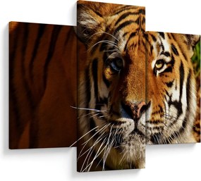 Obraz tigra (90x60 cm)