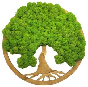 Strom na stenu z machu Lorelei 30 cm