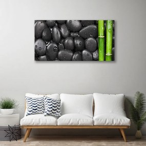 Obraz Canvas Bambus stonka kamene 140x70 cm