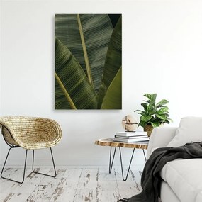 Obraz na plátně Banánové listy Příroda - 80x120 cm