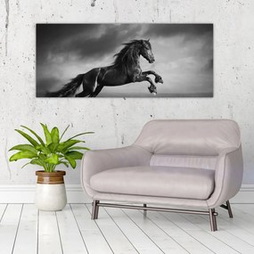 Obraz - Kôň čiernobiely (120x50 cm)