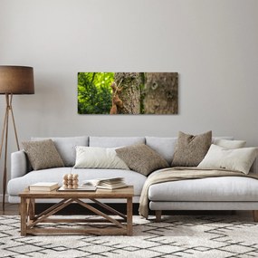 Obraz - Veverička (120x50 cm)