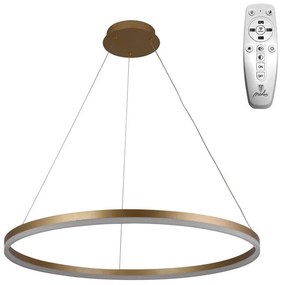 Moderné svietidlo NEDES LED svietidlo + diaľkový ovládač 55W J4309/G