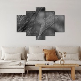 Obraz - Sušená pampová tráva (150x105 cm)