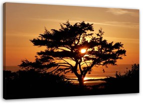 Gario Obraz na plátne Strom pri mori pri západe slnka Rozmery: 60 x 40 cm