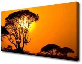 Obraz na plátne Strom slnko príroda 125x50 cm