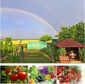 Fóliovník  2 x 3m zelený STANDARD