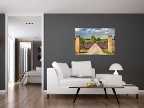 Obraz - Levanduľové cesty (90x60 cm)