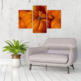 Obraz - Veľké tekvice (90x60 cm)