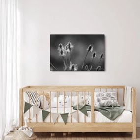 Obraz - Béžová soft grass N⁰2 (90x60 cm)