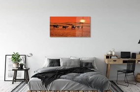 Obraz na skle Ťavy ľudí púštne slnko neba 120x60 cm
