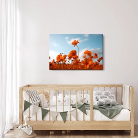Obraz - Lúčne kvety (90x60 cm)