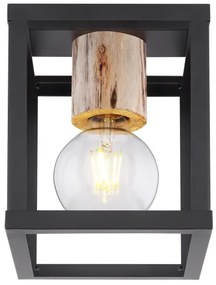 Globo 15476D - Stropné svietidlo HAGAR 1xE27/60W/230V