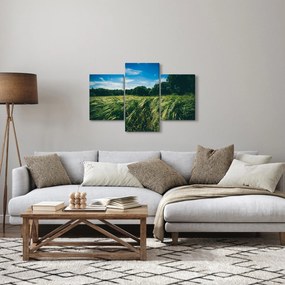 Obraz lúky a lesa (90x60 cm)