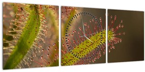Obraz rastliny (s hodinami) (90x30 cm)