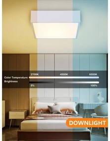 Immax NEO 07238L - LED Stmievateľné stropné svietidlo CANTO 22W/230V biela Tuya +DO