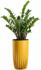 PLASTOVÝ KVETINÁČ STRIPPED 25X42 CM HORČICOVÁ