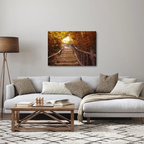 Obraz - Schody v prírode na jeseň (70x50 cm)