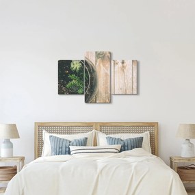 Obraz sukulentov v skle (90x60 cm)