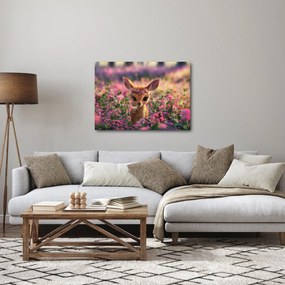 Obraz - Roztomilá srnčeka (70x50 cm)
