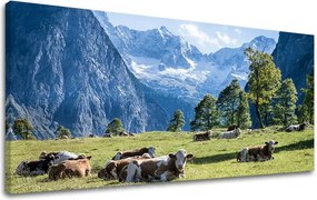 Obraz na stenu PANORÁMA KRAJINA KR005E13