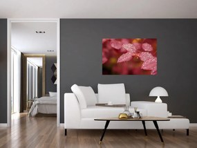 Obraz - Makro snímka lístka (90x60 cm)