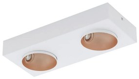 Eglo 39374 - LED Stmievateľné stropné svietidlo RONZANO 2xLED/3,3W/230V