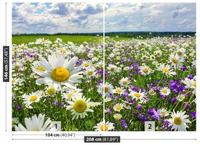 Fototapeta Vliesová Lúky a kvety 104x70 cm
