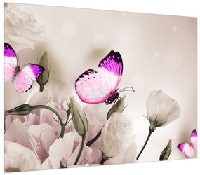 Obraz motýľa (70x50 cm)