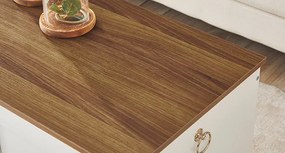 Lavice s úložným prostorem Vasagle Braisy 100 cm bílá/ořech