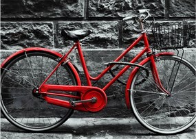 Obraz - Historický bicykel (70x50 cm)