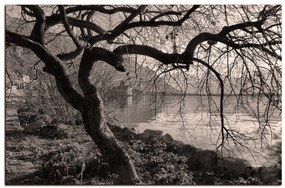 Obraz na plátne - Jeseň pri jazere 1198QA (75x50 cm)
