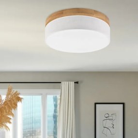 Brilagi - LED stropné svietidlo BELLADONNA LED/36W/230V pr. 40 cm biela/dub