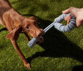 Hračka pre psy na ťahanie a trhanie