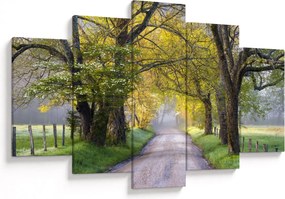 Obraz - Smoky Mountains, Gatlinburg, USA (150x105 cm)