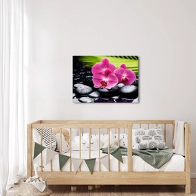 Obraz - Ružové orchidey s palmovým listom (70x50 cm)