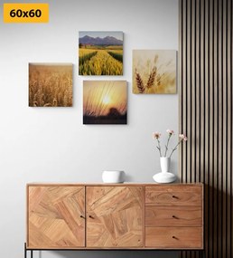 Set obrazov čaro prírody - 4x 60x60