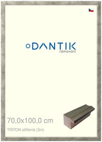 DANTIK rám na obraz 70x100 | TRITON stříbrná (Plexi Čiré)