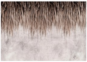 Artgeist Fototapeta - Palm Canopy Veľkosť: 400x280, Verzia: Standard