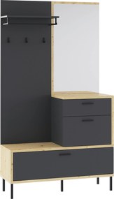 XXXLutz PREDSIEŇOVÝ NÁBYTOK, 113/197/40 cm Carryhome - Online Only drobný nábytok - 000017004301
