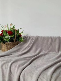 Mikrovláknová deka SOFT, svetlo sivá Rozmer: 200 x 220 cm
