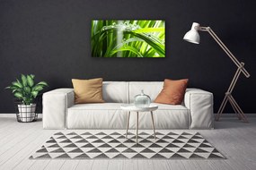 Obraz Canvas Tráva rosa kvapky rastlina 140x70 cm