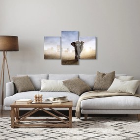 Obraz - Sloníčka vo veľkomeste (90x60 cm)