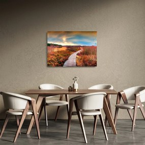 Sklenený obraz - Jesenná cesta krajinou (70x50 cm)