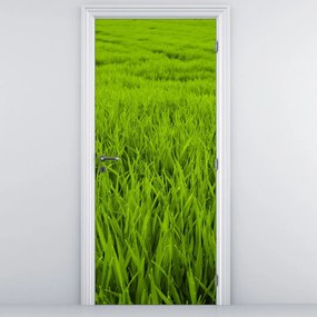Fototapeta na dvere - Tráva (95x205cm)