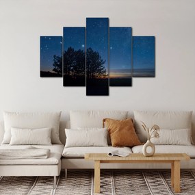 Obraz stromov v noci (150x105 cm)